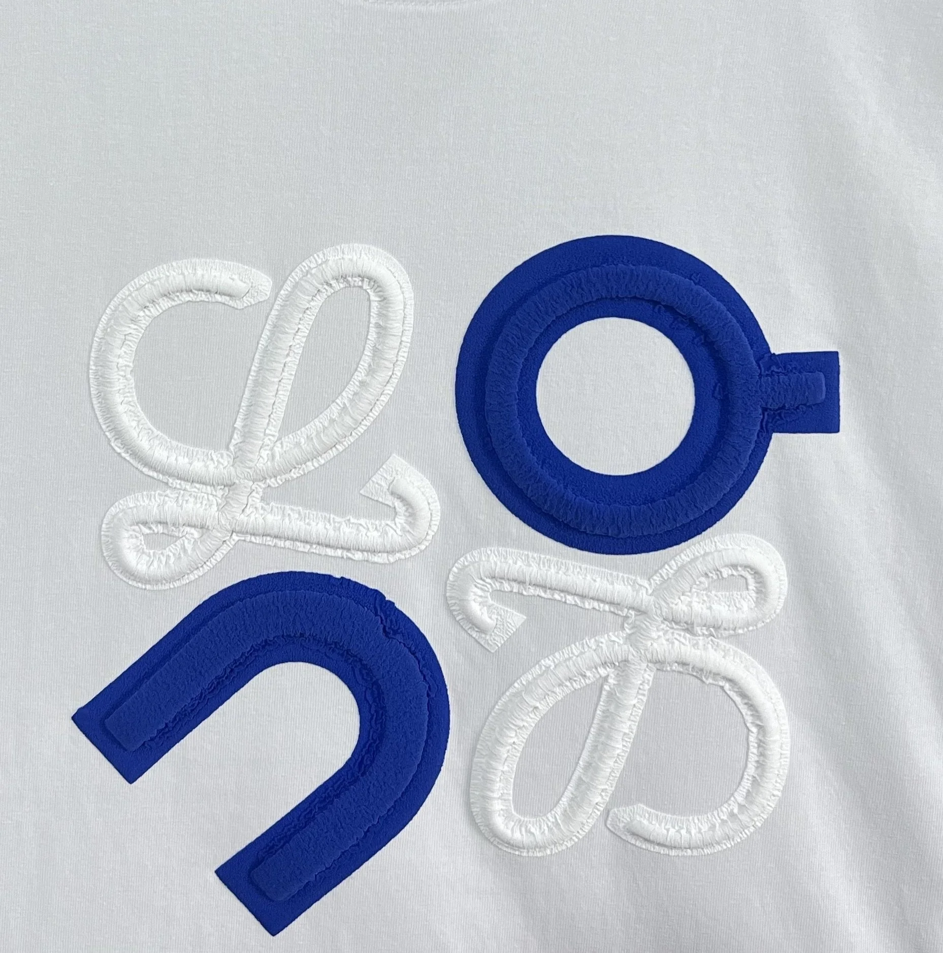 Embroidered printed cotton sweatshirt