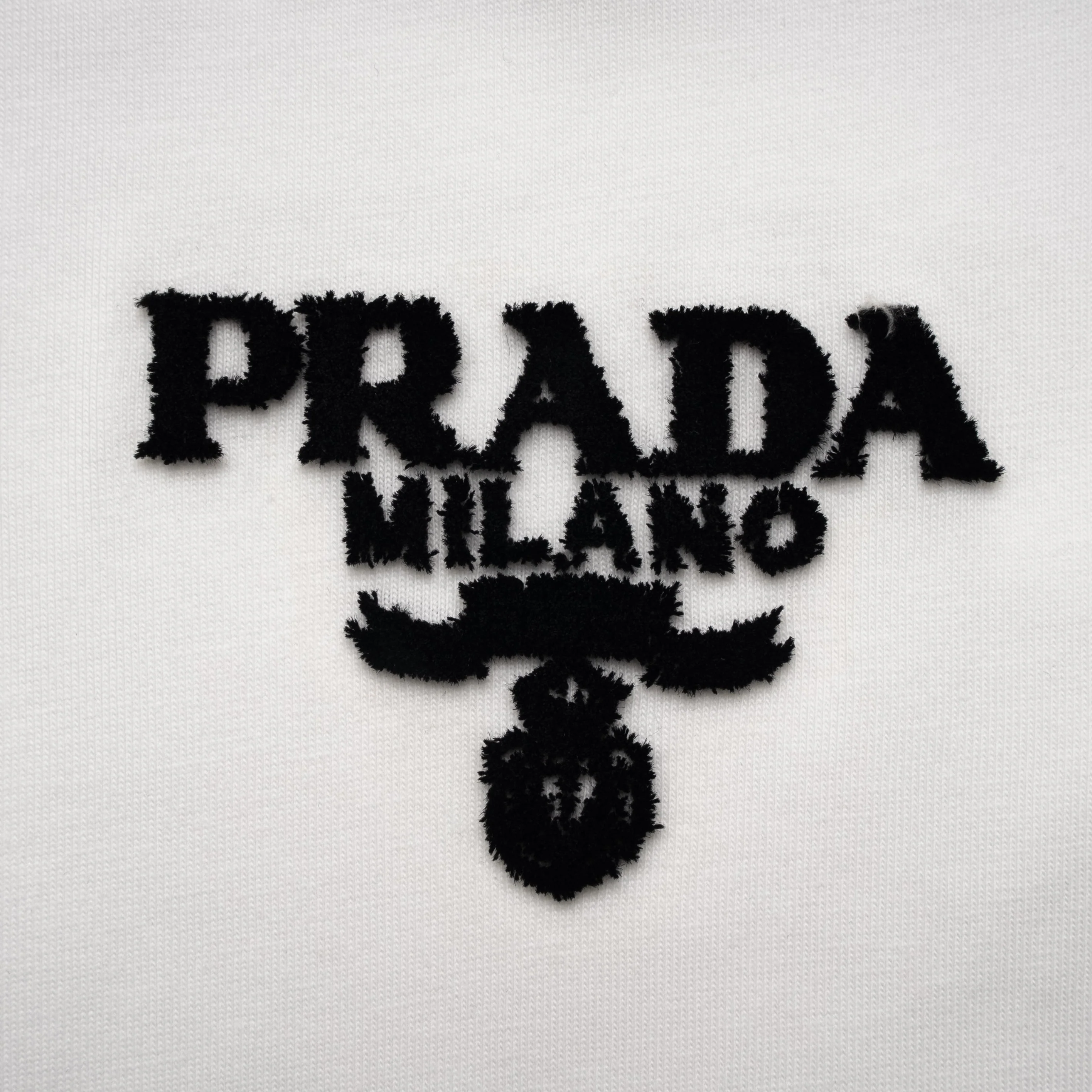 Printed T-Shirt: High-End Fashion Statement-1176