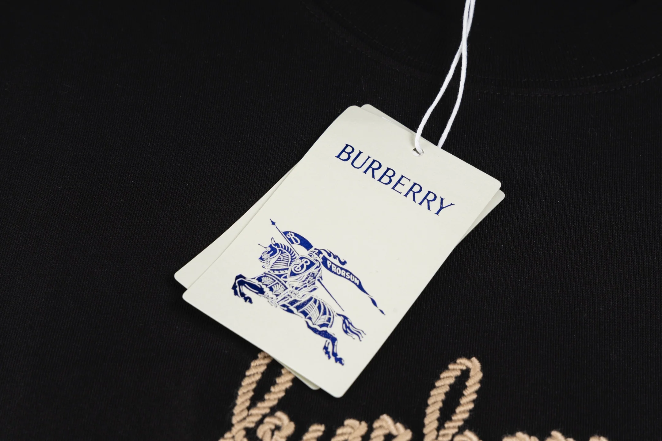 Double-sided embroidered cotton T-shirt