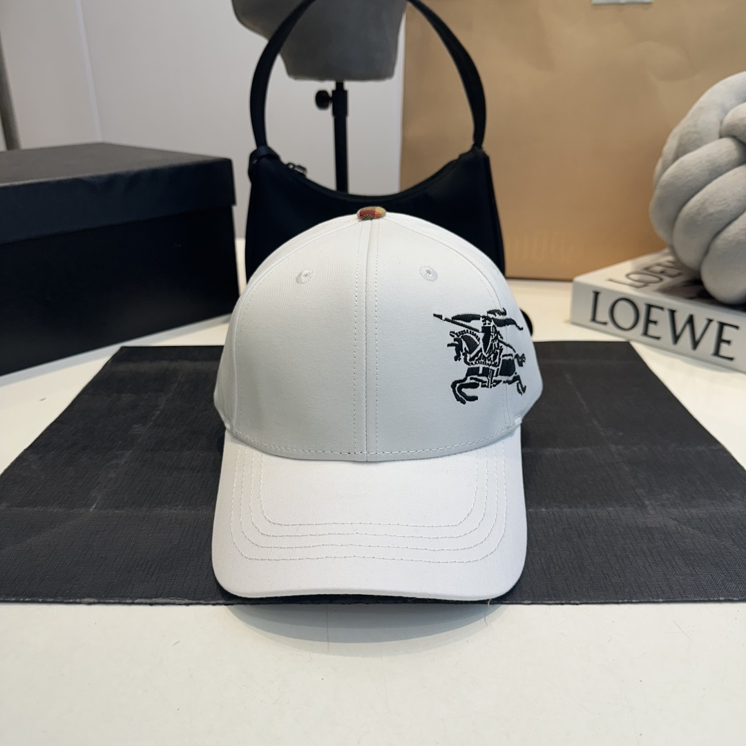 Plaid embroidered baseball cap