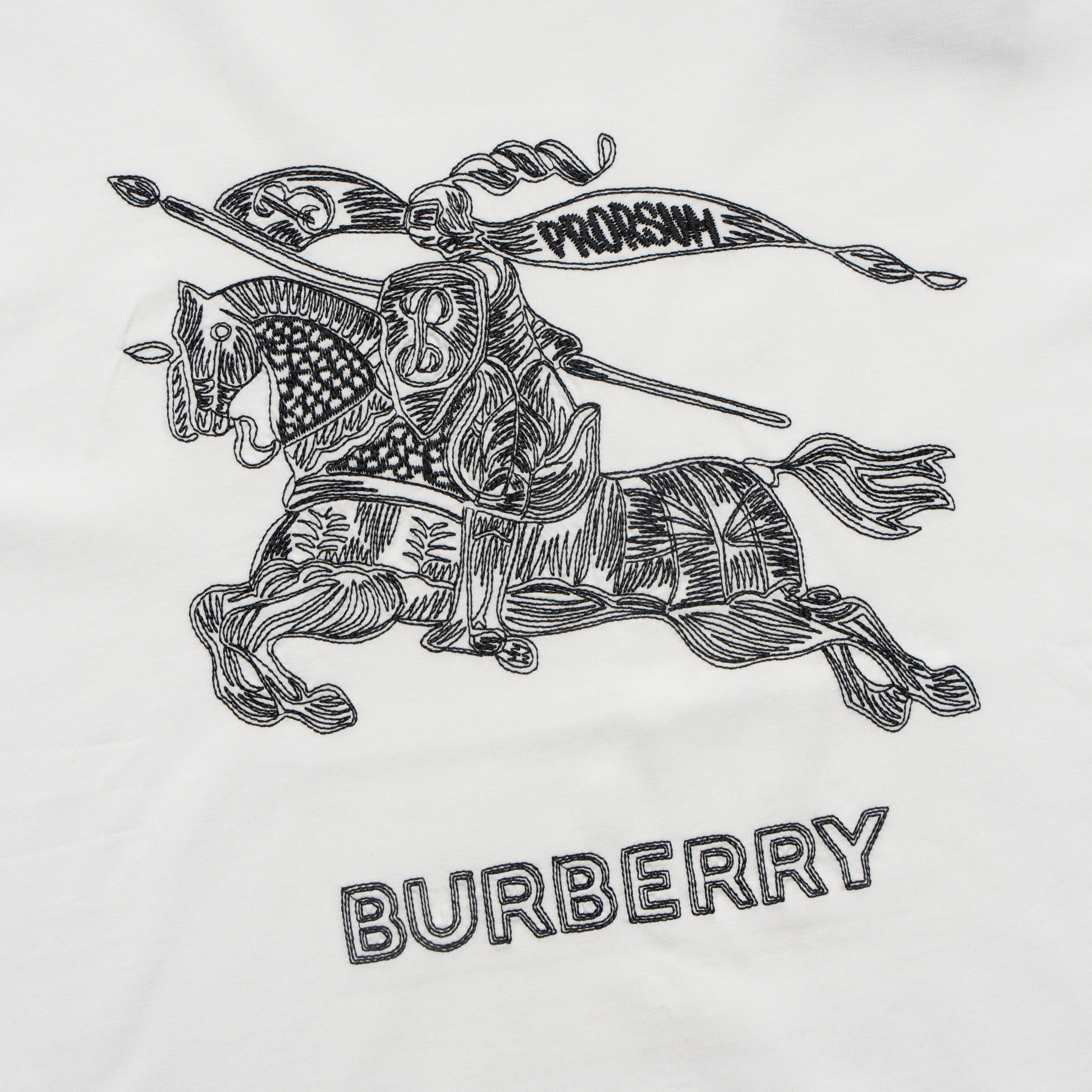 Printed T-Shirt: High-End Fashion Statement-1183