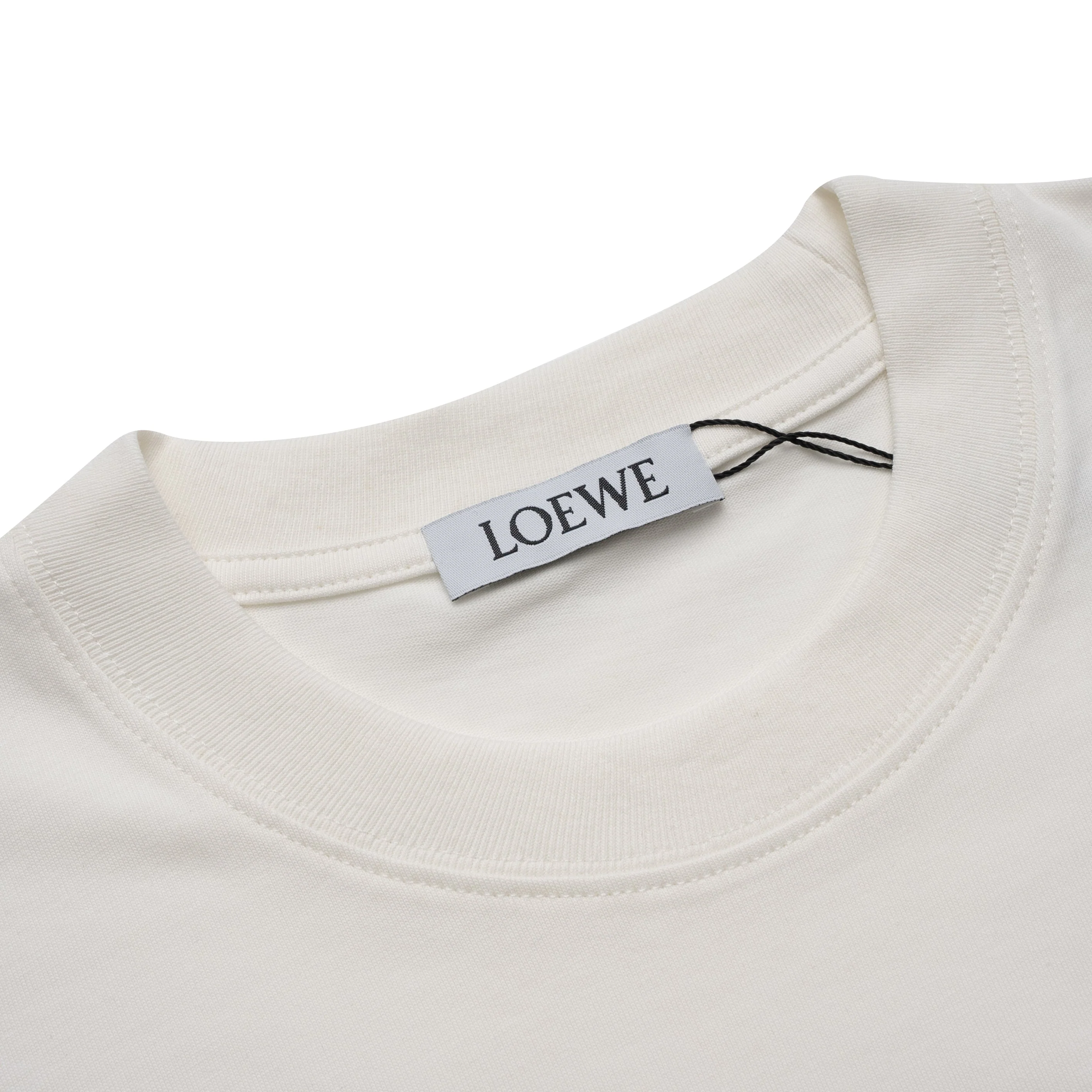 Printed T-Shirt: High-End Fashion Statement-1159