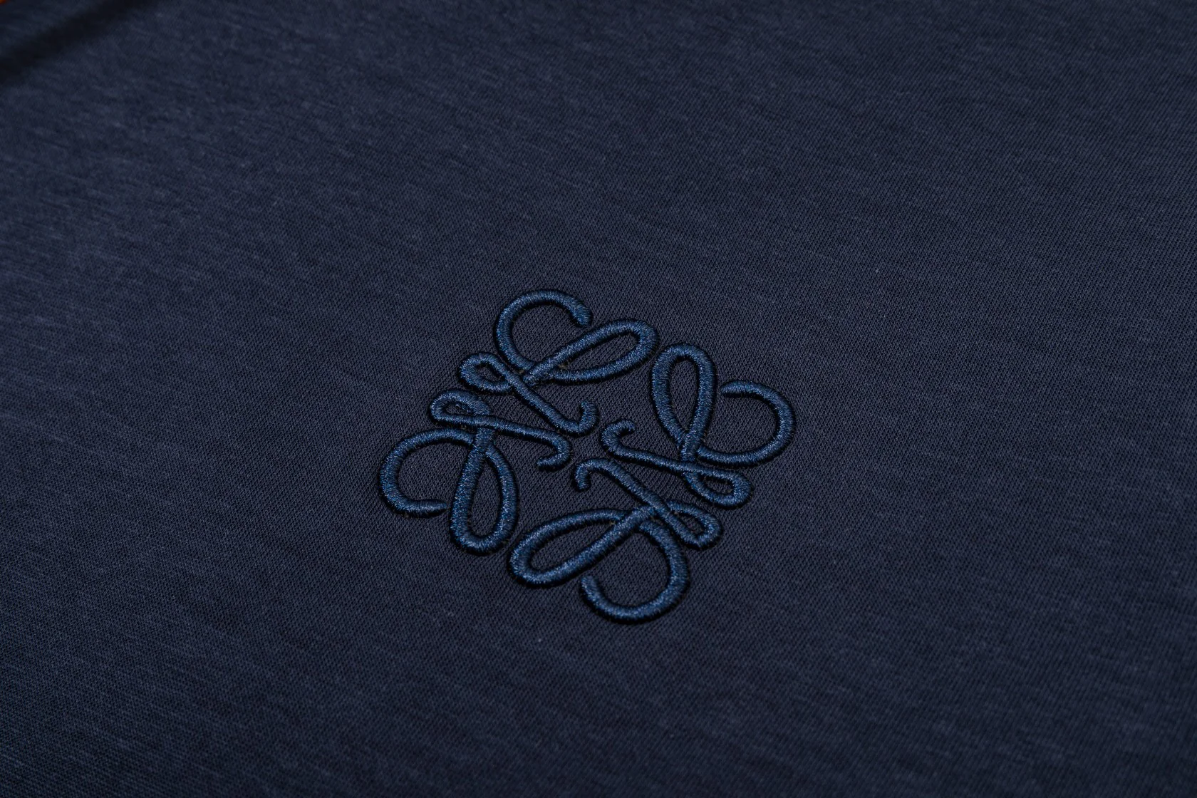 3D embroidered sweatshirt