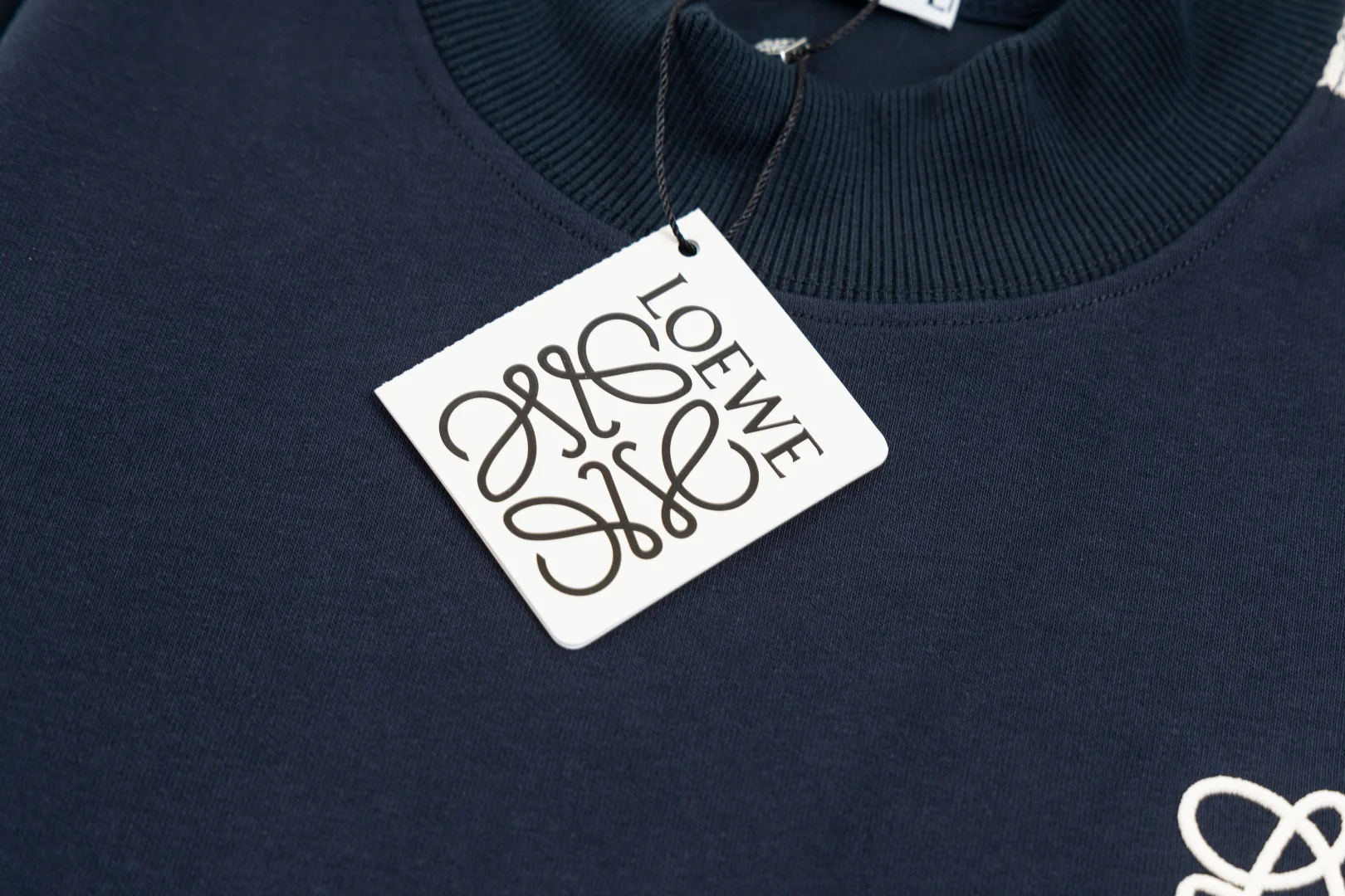 Embroidered cotton sweatshirt