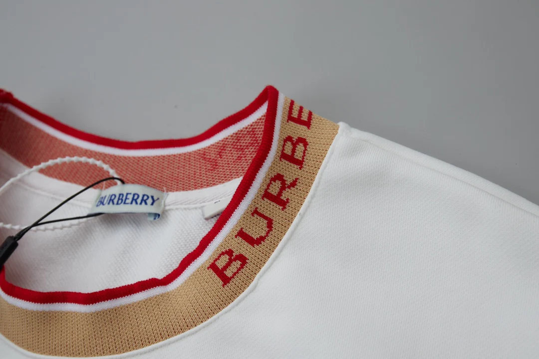 Embroidered cotton sweatshirt