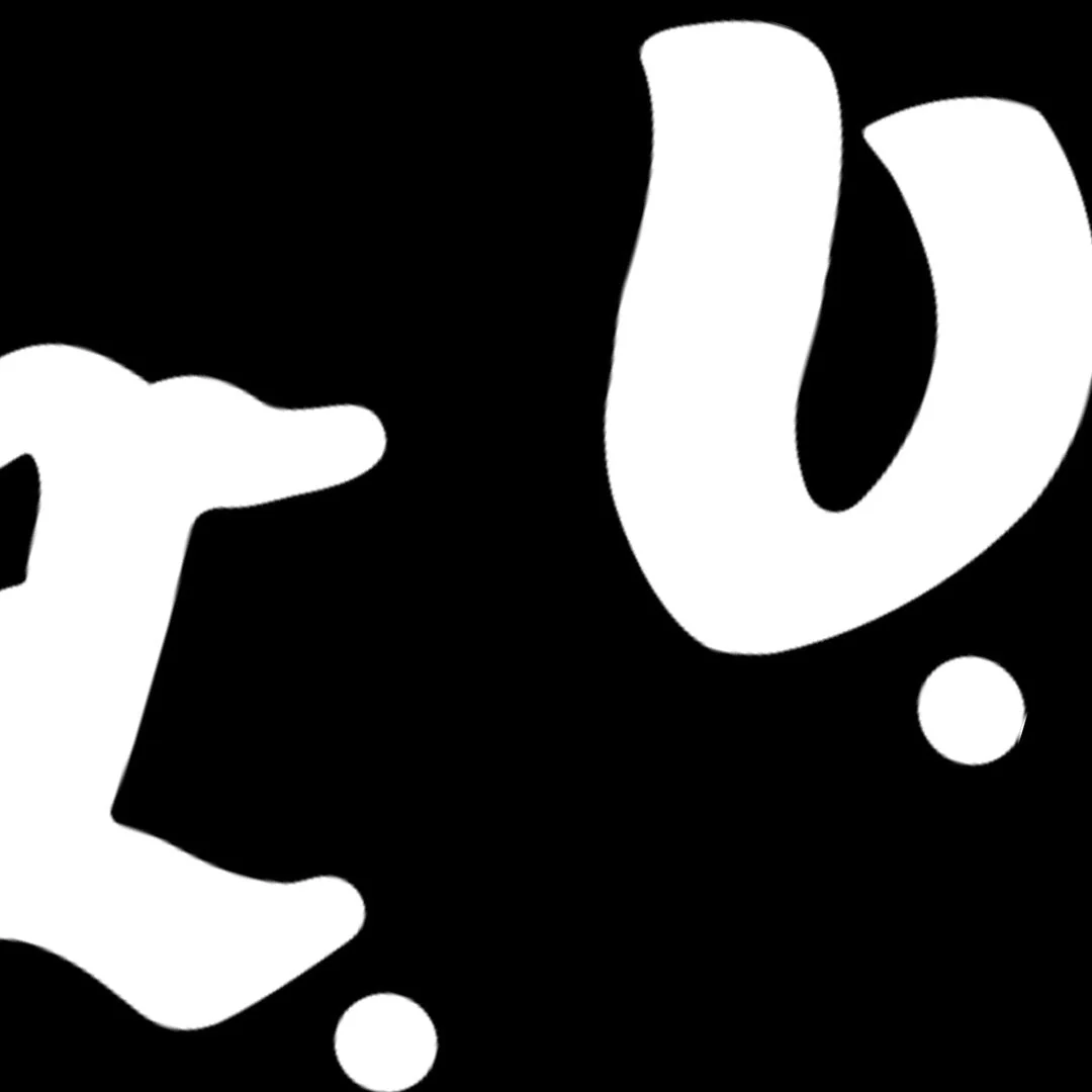 Fashion Embroidered sweatshirt