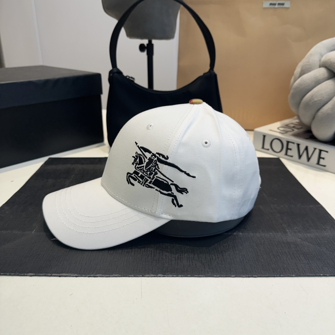 Plaid embroidered baseball cap