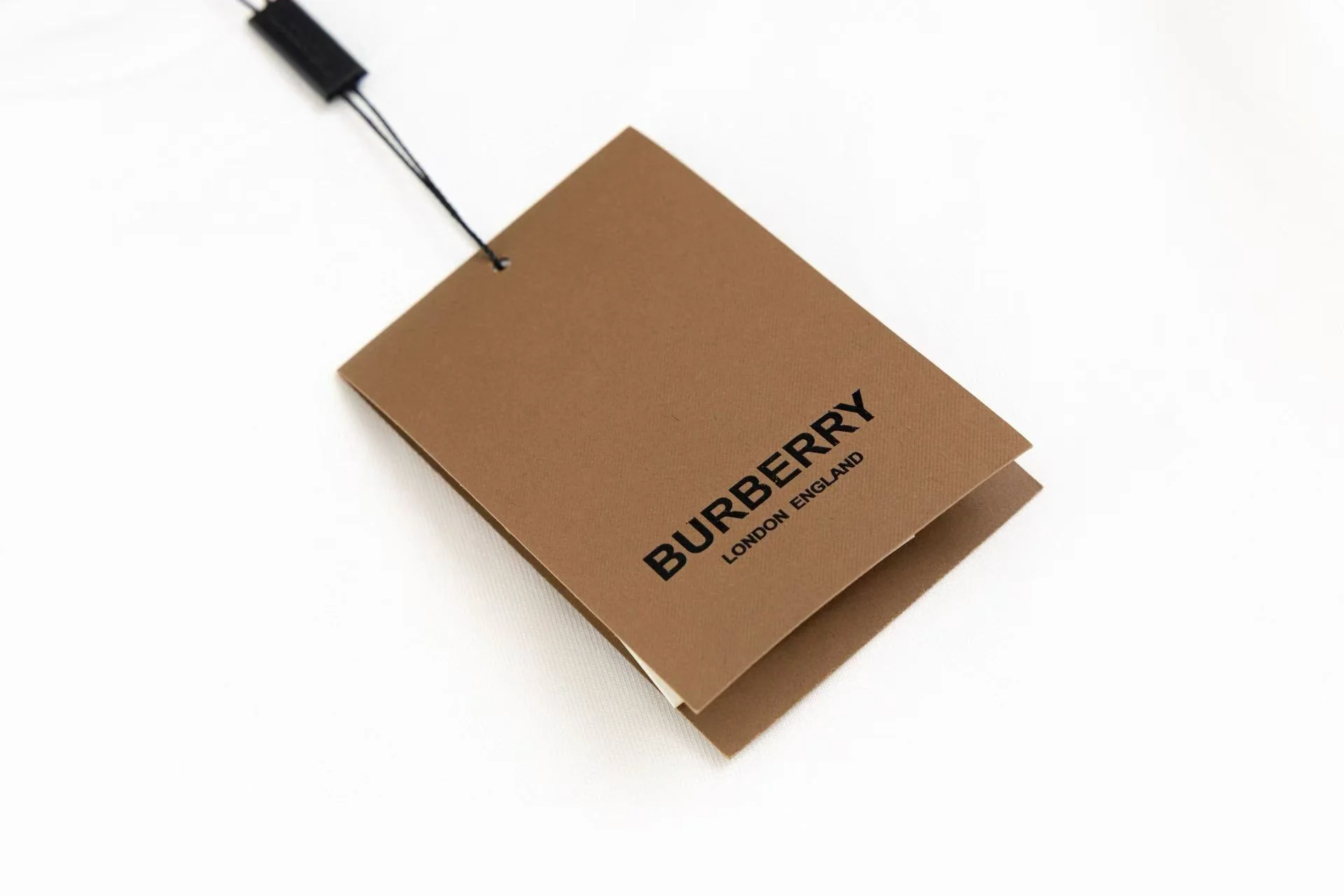 Embroidered cotton T-shirt