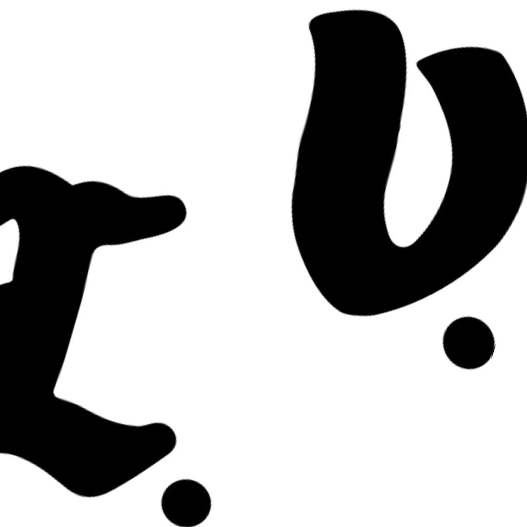 Fashion Embroidered sweatshirt