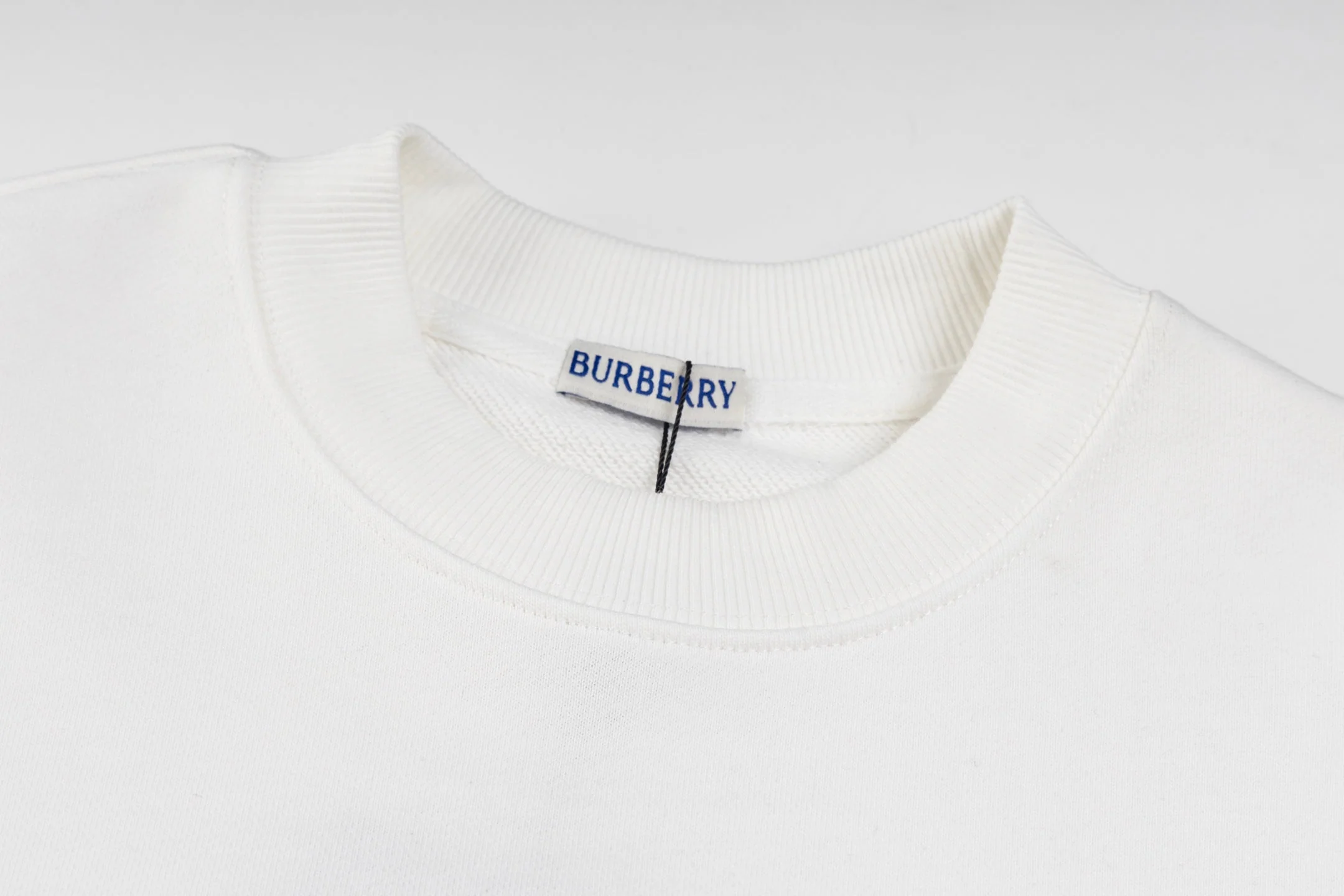 Embroidered cotton sweatshirt