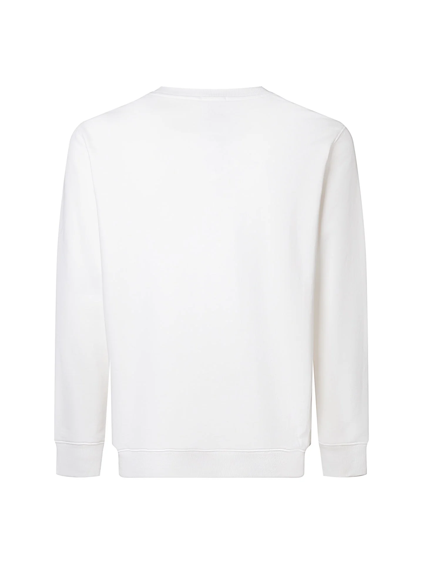 Embroidered crew neck cotton sweatshirt