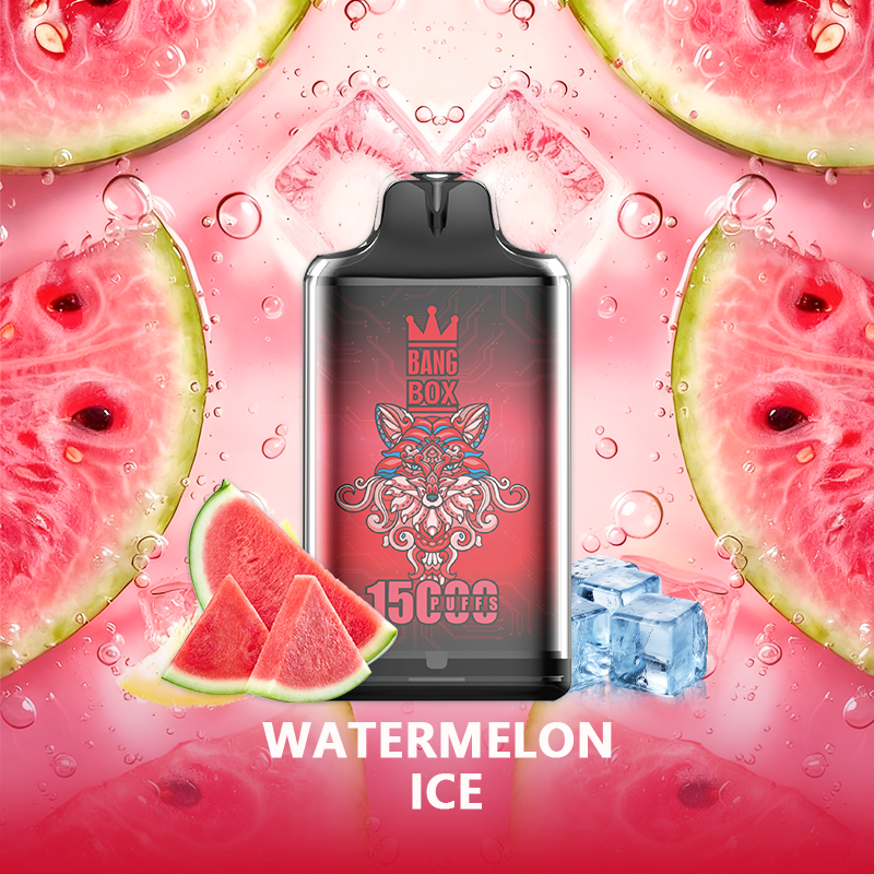 BANG BOX S1-15000 Puffs Disposable Vape