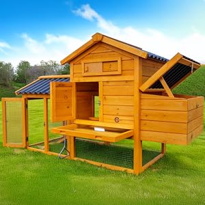 Multiple views of a wooden chicken coop or henhouse with attached fenced run area. set on grass.