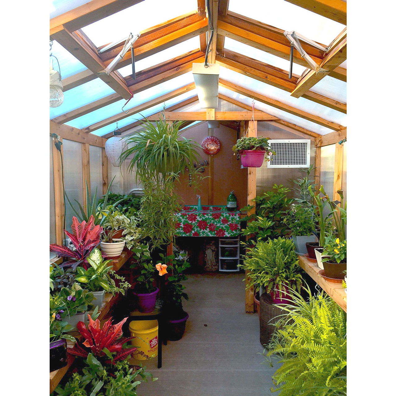 Eartheasy 8' x 8' Cedar Greenhouse