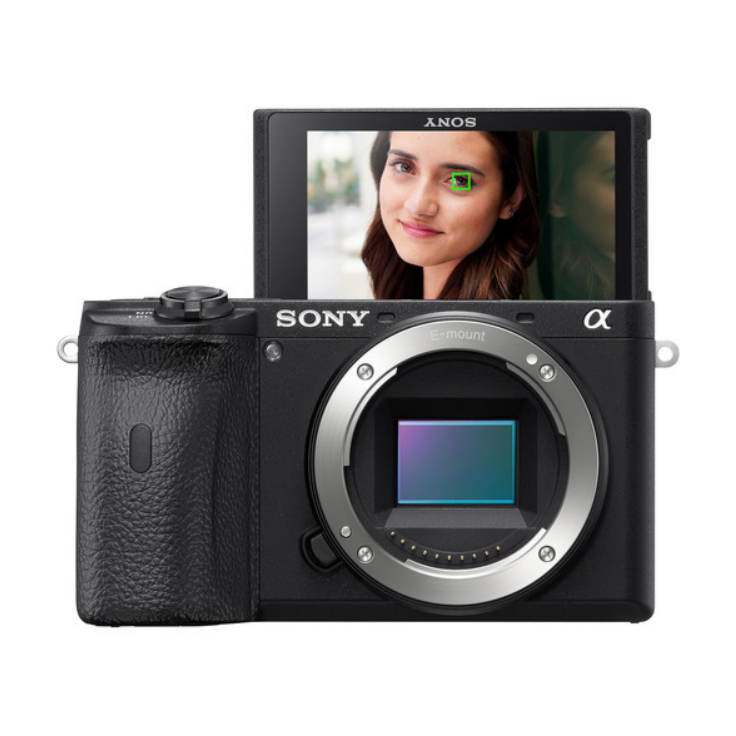 Alpha 6600 - APS-C Interchangeable Lens Camera 24.2MP, 11FPS, 4K/30p