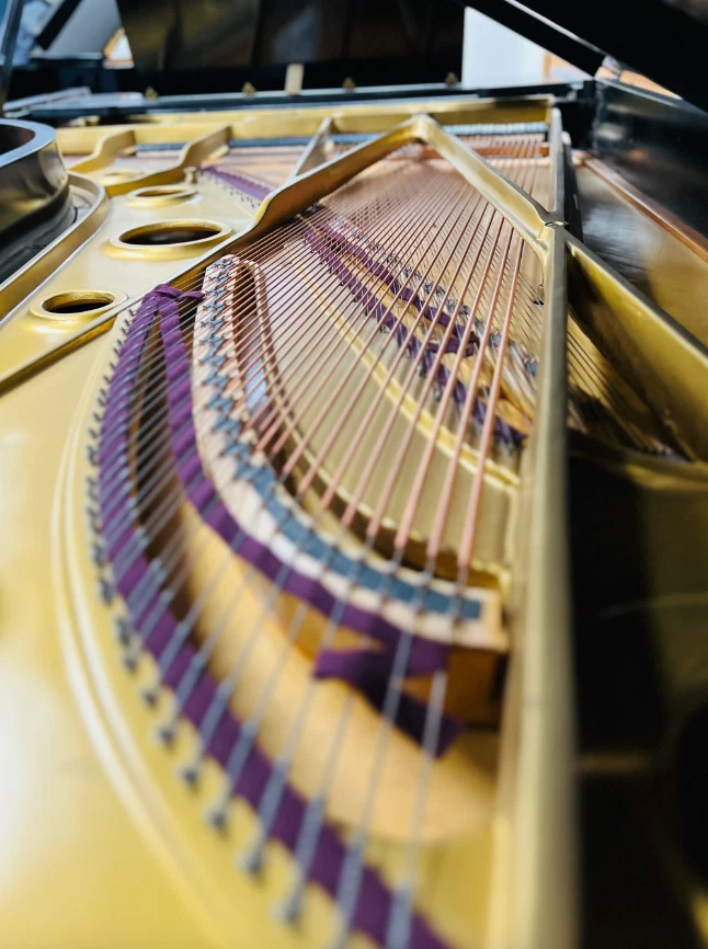 Mason & Hamlin CC (9'4