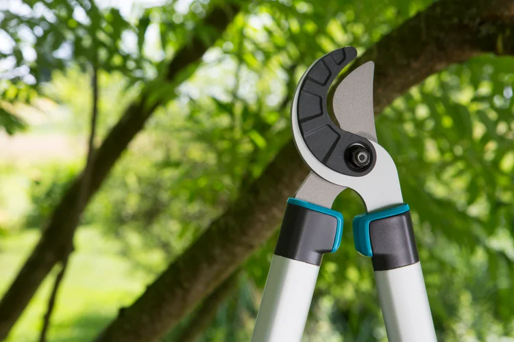 Pruning Lopper EasyCut 680 A