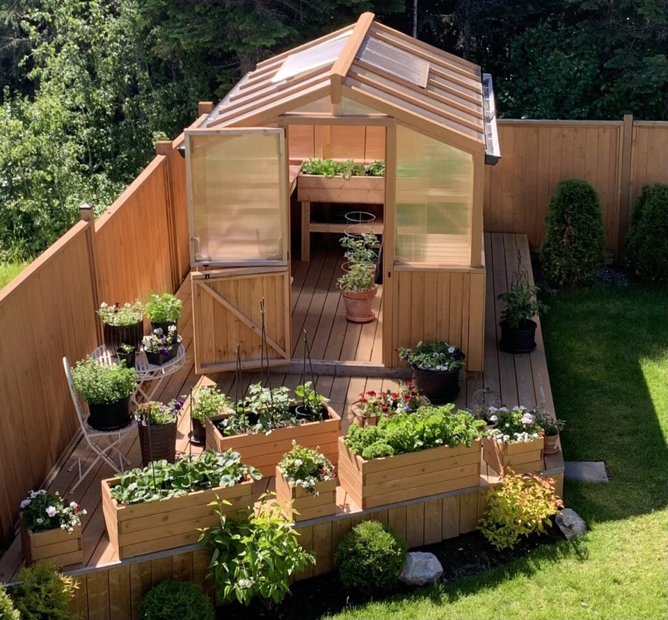 Eartheasy 8' x 8' Cedar Greenhouse