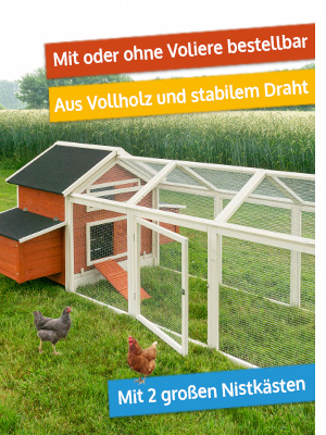 zooprinz h&uuml;hnervoliere betty gro&szlig; nistkastenh&uuml;hnerhaus h&uuml;hnerstall