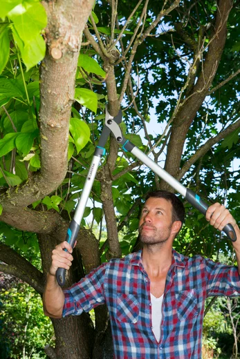 Pruning Lopper EnergyCut 750 B