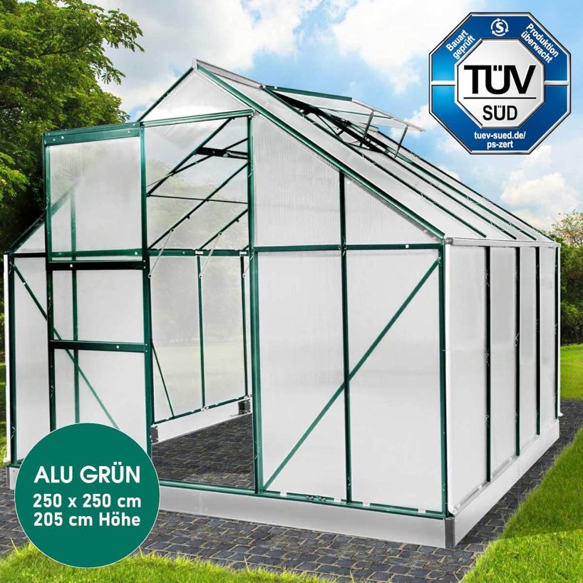 BRAST Aluminium Greenhouse with Base, 250 x 250 x 205 cm, TÜV Tested, 6 mm Hollow Chamber Panels Rustproof, Weatherproof, Temperature-Resistant