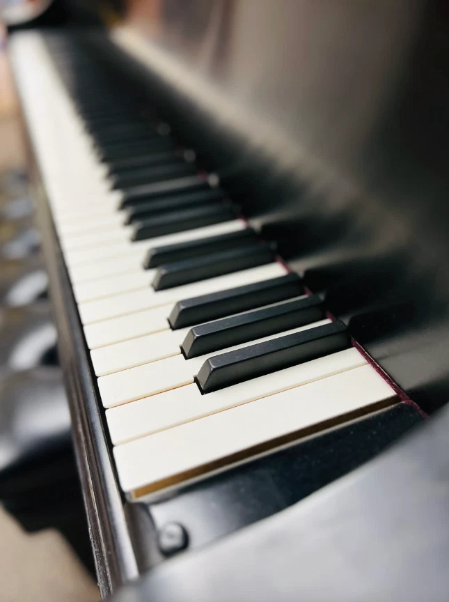 Mason & Hamlin CC (9'4