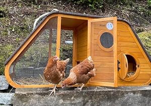 Noahs ark with chickens