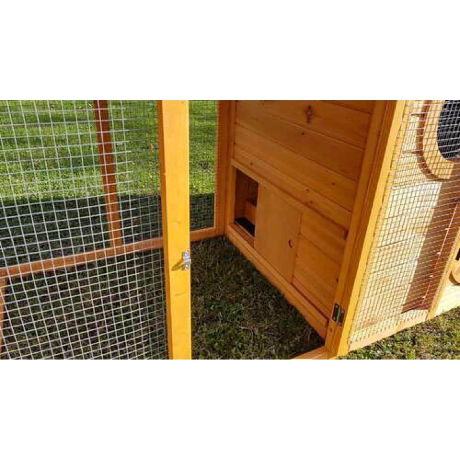 Cocoon ECO 1500 Chicken Coop + Cocoon Noah's Ark Chicken Coop