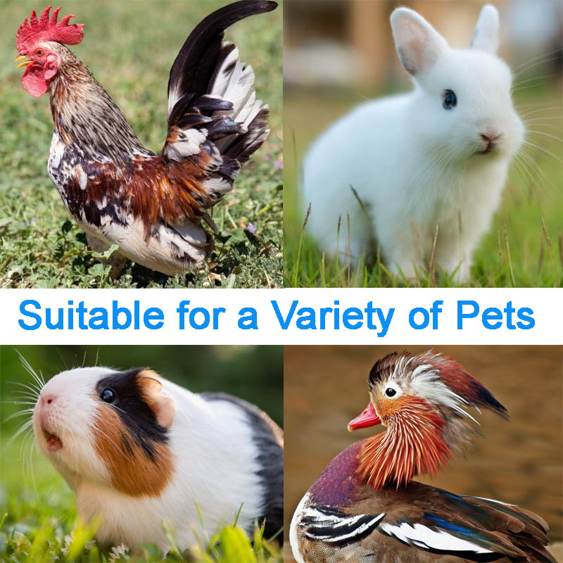 Cocoon ECO 1500 Chicken Coop + Cocoon Noah's Ark Chicken Coop