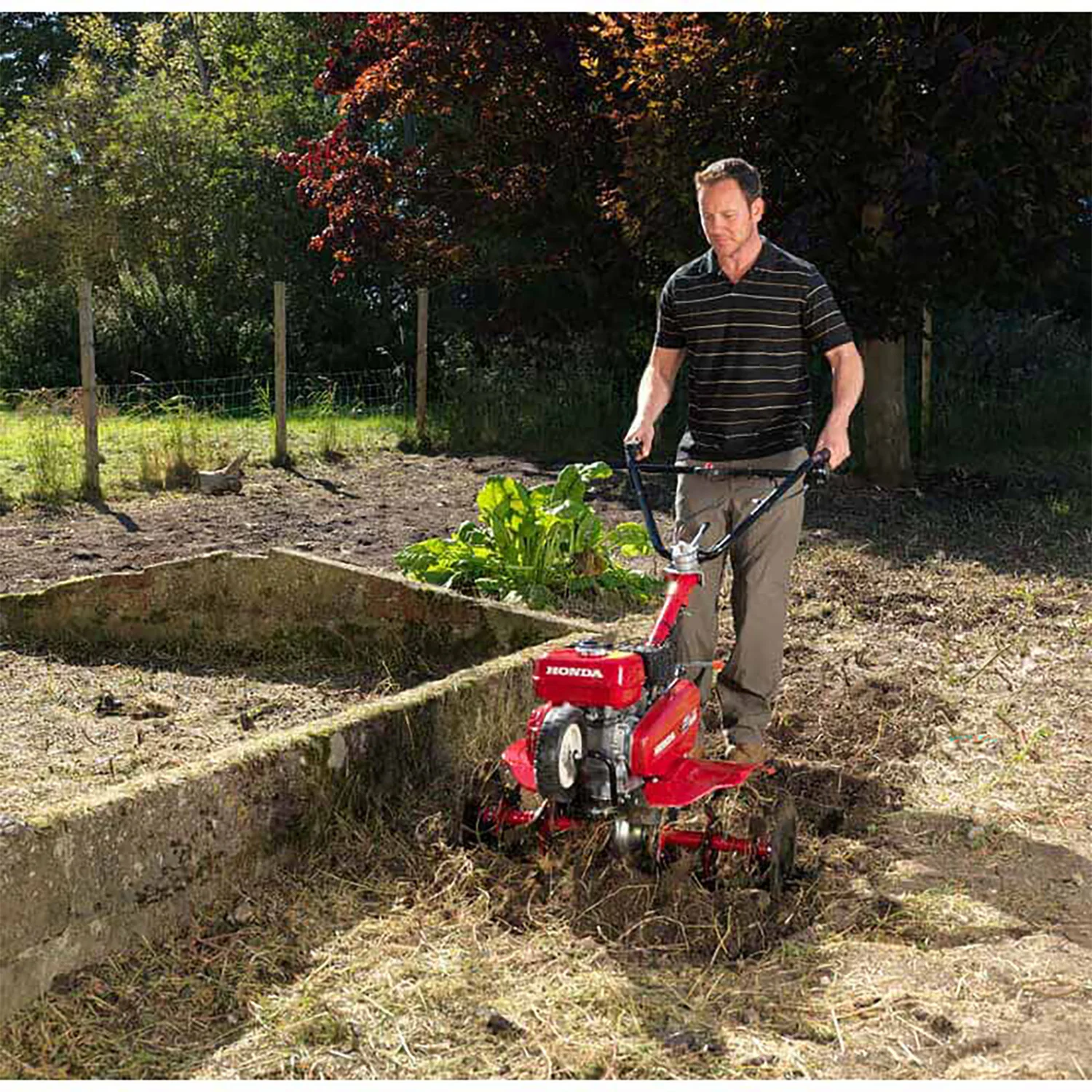 Honda FJ500 DER Petrol Compact Tiller