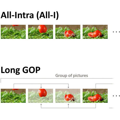 Alpha 7S III - Full-frame Interchangeable Lens Camera 12.1MP, 10FPS, 4K/120p High Sensitivity