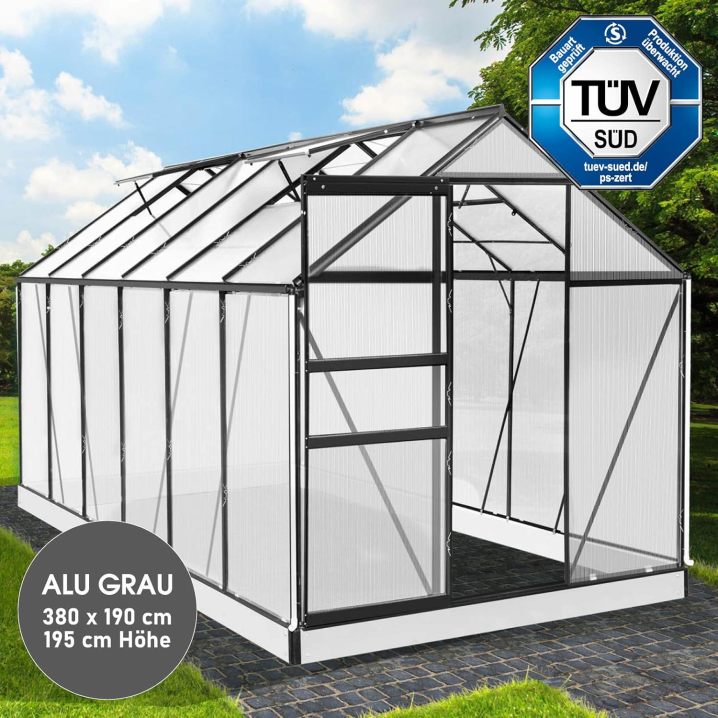 BRAST Aluminium Greenhouse with Base 380 x 190 x 195 cm, TÜV Tested, 6 mm Hollow Chamber Panels, Rustproof/Weatherproof/Temperature-Resistant