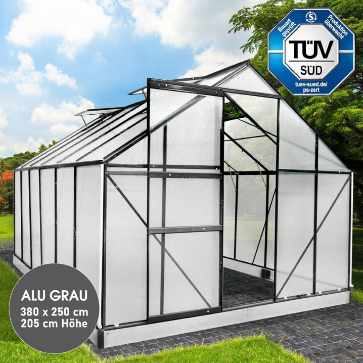 BRAST Aluminium Greenhouse with Base 380 x 250 x 205 cm, TÜV Tested, 6 mm Hollow Chamber Panels, Rustproof/Weatherproof/Temperature-Resistant