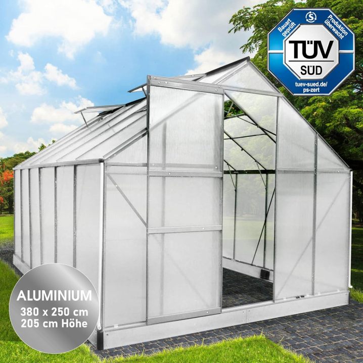 BRAST Aluminium Greenhouse with Base 380 x 250 x 205 cm, TÜV Tested, 6 mm Hollow Chamber Panels, Rustproof/Weatherproof/Temperature-Resistant