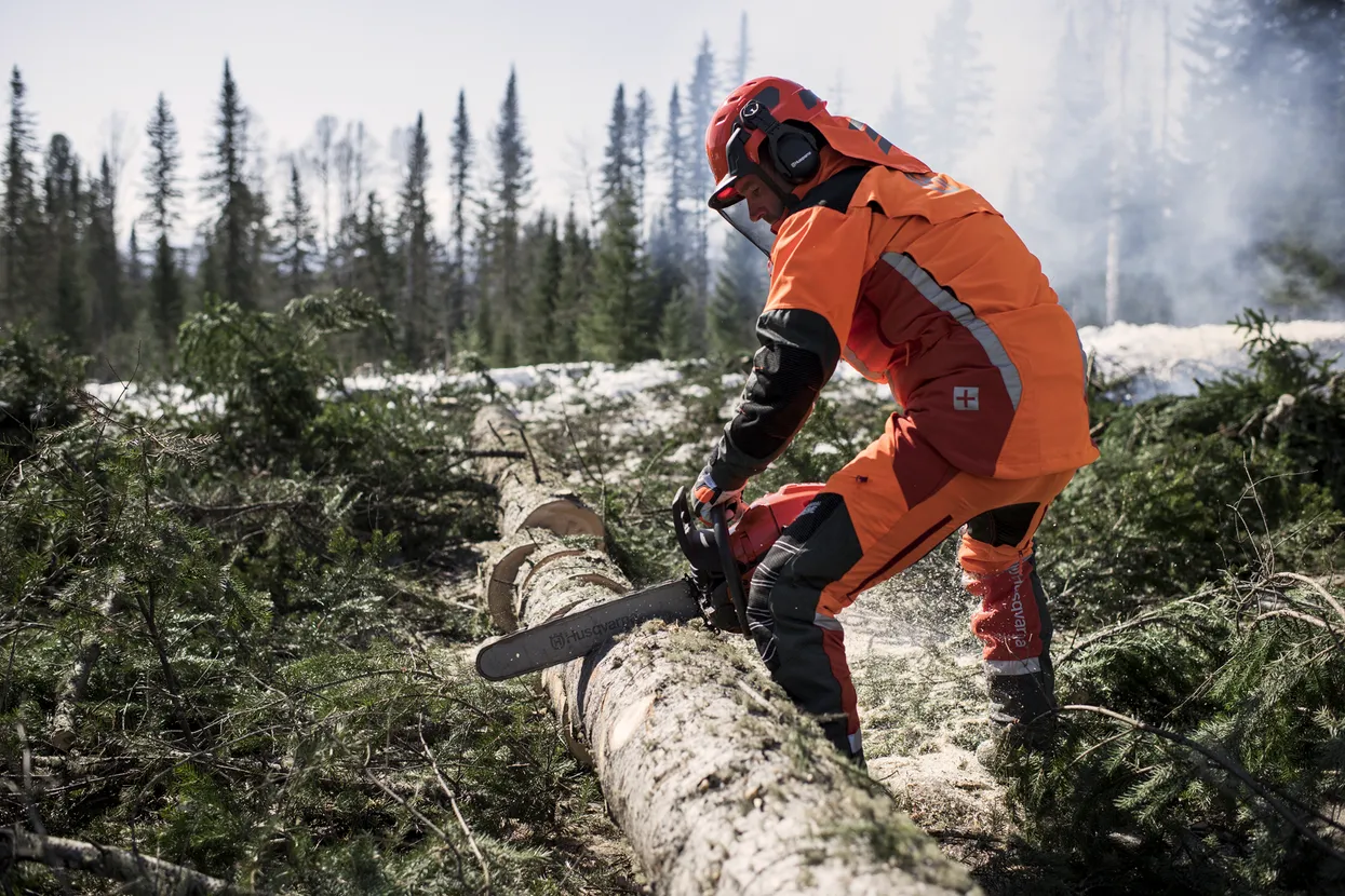 Husqvarna Chainsaws 565