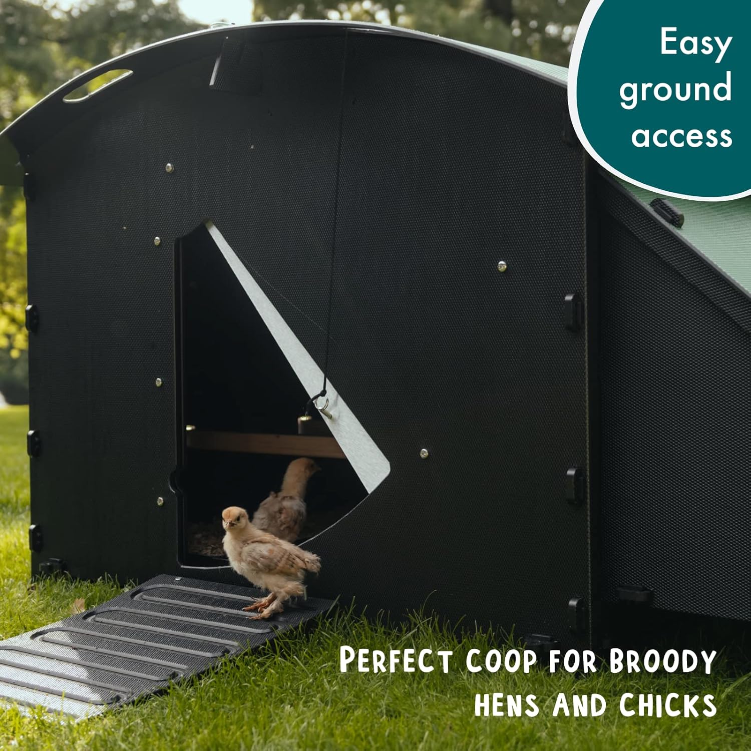 Hühnerstall aus Kunststoff – 25 Jahre Garantie – Großer Hühnerstall mit Boden für 4, 6, 8 Hühner oder 15 Zwerghühner | Geeignet für große Hühner und ideal zum Brüten von Hühnern und Küken