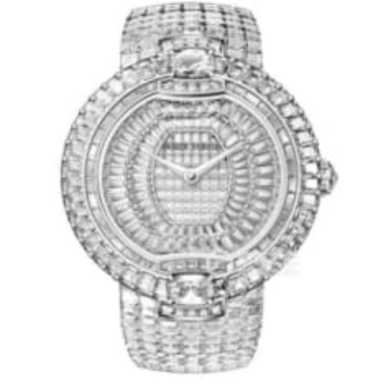Roger Dubuis Watch Blind Box