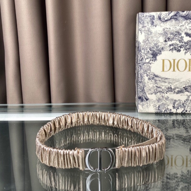 Dior Waist Belt Blind Box