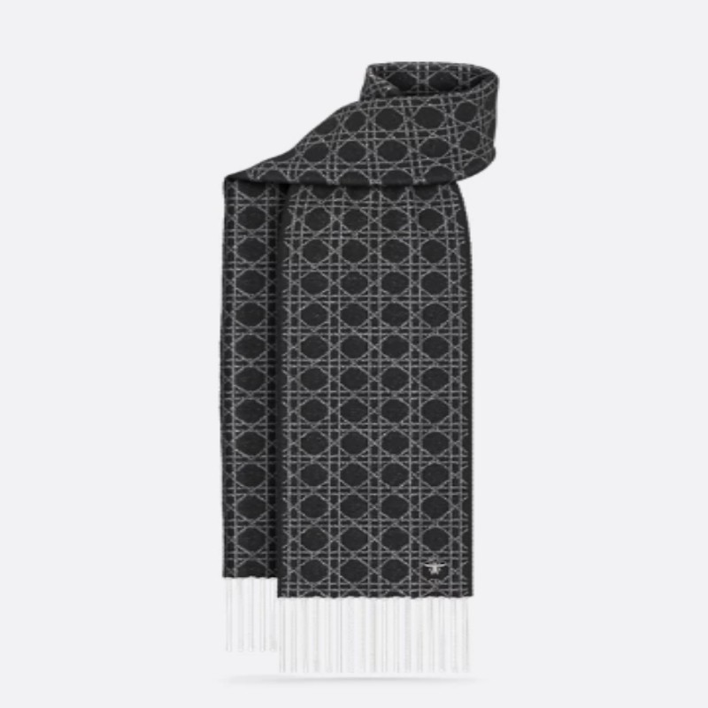 Dior scarf