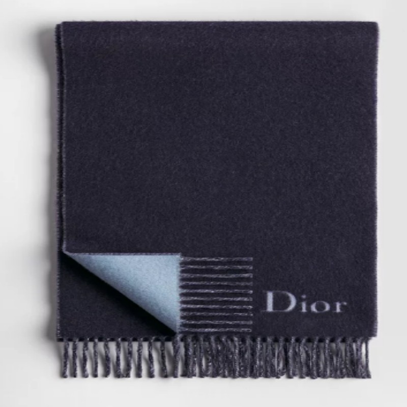 Dior scarf